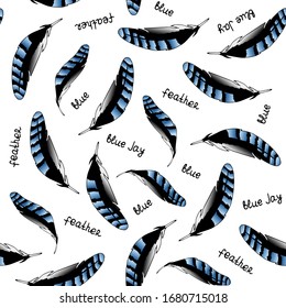 Blue Jay Feather Images Stock Photos Vectors Shutterstock