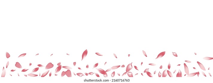 Color Peach Petal Vector Panoramic Background. White Summer Sakura Petal Card. Cherry Petal Beauty Template. Bright Flower Petal Texture.