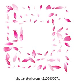 Color Peach Petal Vector White Background. Pastel March Lotus Petal Illustration. Apple Petal Blossom Backdrop. Dream Flower Petal Congratulation.