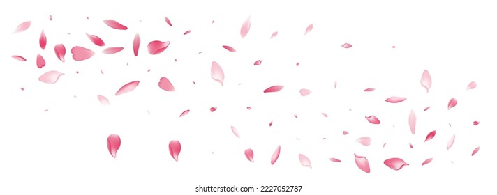 Farbpfirsichfarbener, Vektorweißer Hintergrund. Purple Spring Sakura Petal Banner. Blumenkartentafel. japanischer Kirschtort-Hintergrund.