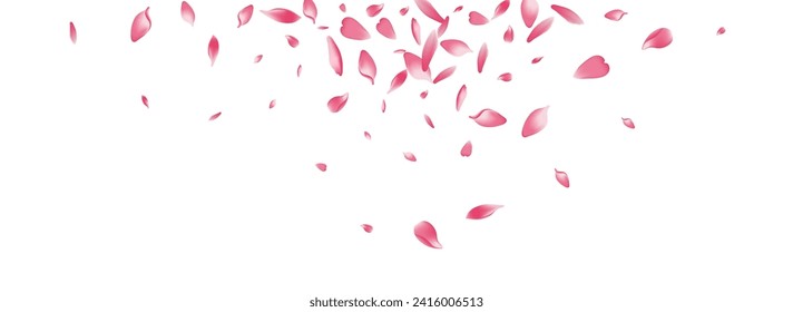 Color Peach Petal Vector White Background. White Falling Rose Petal Illustration. Sakura Petal Valentine Backdrop. Japan Apple Petal Banner.