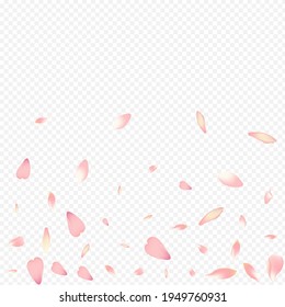 Color Peach Vector Transparent Background. Tree Wedding Illustration. Rosa Free Backdrop. Blossom Fresh Congratulation. Red Leaf Invitation Card.