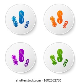 Color Peanut icon isolated on white background. Set icons in circle buttons. Vector Illustration