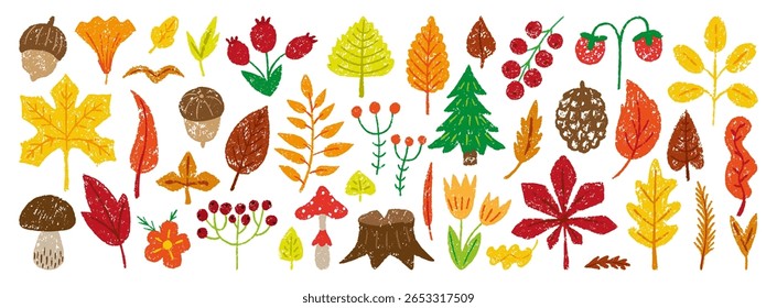 Elementos de floresta de outono a lápis de cor. Crayon atraindo bagas vermelhas, pinho, bolota, abeto. Folhas de bétula de bordo de carvalho, queda clipart de vetor neotérico infantil sazonal