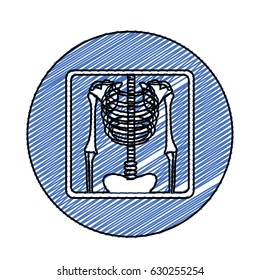color pencil drawing circular frame with chest radiography vector illustration