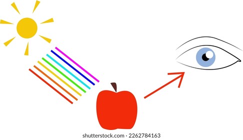 Percepción de color. Física de la formación del color, educación del color. Sol, arco iris, visión. La absorción y el reflejo de un rayo de luz. Manzana roja. Rueda de color de rango emocional sobre sentimientos y ánimo 
