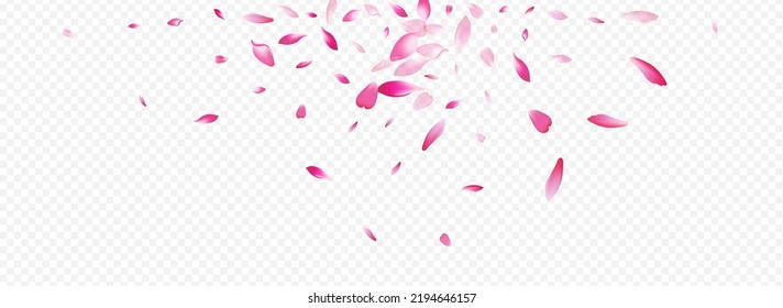 Color Petal Vector Panoramic Transparent Background. Confetti Wallpaper Cover. Lotus Blur Card. Blooming Mother Backdrop. White Sakura Aroma Pattern.