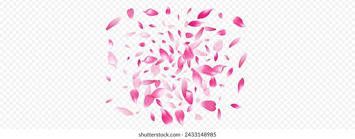 Color Petal Vector Panoramic Transparent Background. Tree Garden Illustration. Sakura Isolated Banner. Blossom Japan Pattern. Light Bloom Feminine Cover.