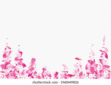 Color Petal Vector Transparent Background. Blossom Romance Backdrop. Bloom Japanese Illustration. Rosa Down Cover. White Flower Wedding Card.