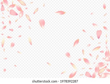 Color Petal Vector Transparent Background. Leaf March Design. Rosa Realistic Texture. Floral Spa Card. Bright Sakura Blur Congratulation.