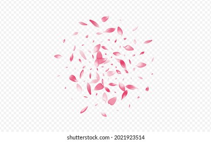 Color Petal Vector Transparent Background. Floral Blow Texture. Cherry Mother Design. Sakura March Banner. Red Flower Valentine Backdrop.