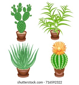 Color picture. Collection of potted plants in pots. Aloe tree, aloe vera, prickly pear, astrophytum. Healing plants. A hobby for collectors. Home and apartment decoration. Vector illustration.