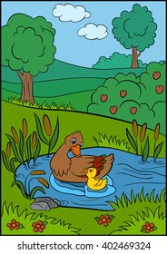 Color pictures: birds. Mother duck swims with her little cute duckling in the pond. They are smile and happy.