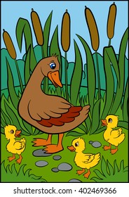 Color pictures: birds. Mother duck walks with her little cute ducklings. They are smile and happy.