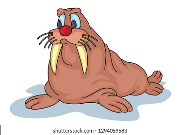 color pictures of funny animals for children, walrus