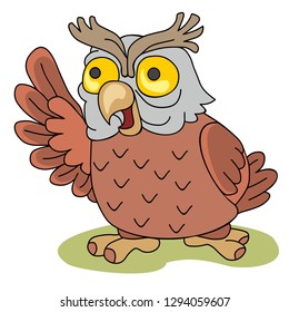 color pictures of funny animals for children, owl