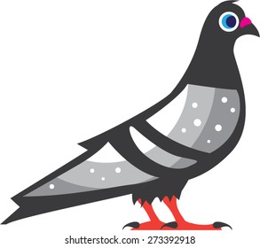 Color Pigeon Dove Vector