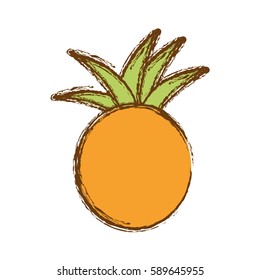 color pineapple fruit icon stock, vector illustration design