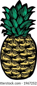 Color pineapple hand drawn illustration