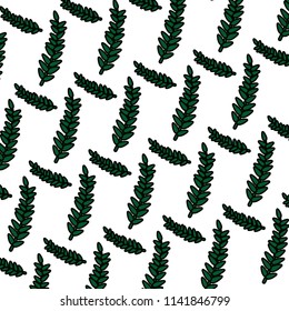 color plant exotic branch leaves background