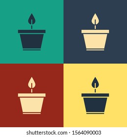 Color Plant in pot icon isolated on color background. Plant growing in a pot. Potted plant sign. Vintage style drawing. Vector Illustration