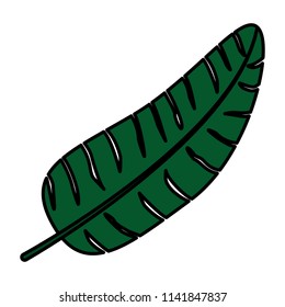 color plant tropical branch leaves style