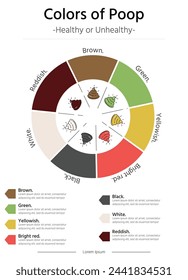 Color de poops o taburetes ilustración vectorial ciclo de plantilla. Infografía para presentaciones empresariales.