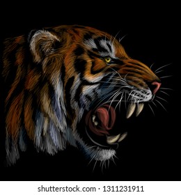 
Color portrait of a tiger on a black background.