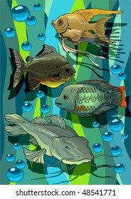 Color print with amusing aquarium small fishes.