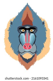 Color print with the image of a Mandrill head. A monkey with a blue muzzle.