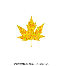 Color realistic autumn leaf. Vector illustration.