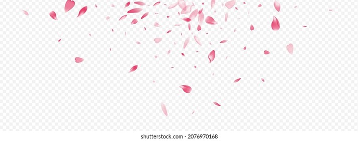 Color Rosa Vector Panoramic Transparent Background. Rose Soft Template. Cherry Spring Card. Heart Realistic Illustration. Purple Blossom Graphic Banner.