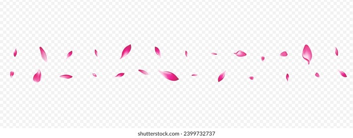 Color Rosa Vector Panoramic Transparent Background. Bloom Invitation Banner. Apple Rain Texture. Blooming Romance Backdrop. White Sakura Beauty Design.