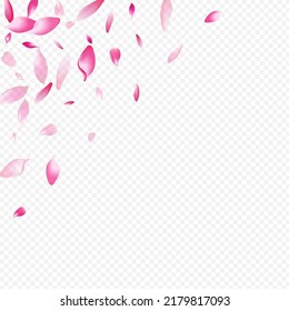 Color Rosa Vector Transparent Background. Blooming SummerDrop Illustration. Rose Nature Design. Sakura Dream Card. Pink Leaf Wallpaper Poster.