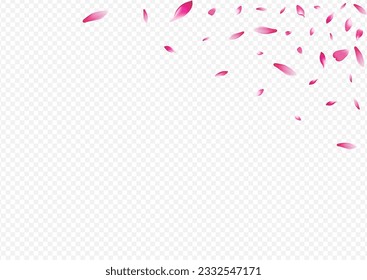 Color Rosa Vector Transparent Background. Peach 3d Illustration. Tree Marriage Template. Blooming Beauty Card. White Confetti Japanese Design.