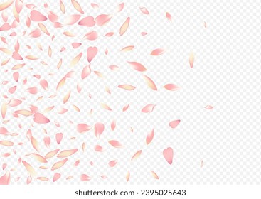 Color Rosa Vector Transparent Background. Bloom Valentine Pattern. Lotus Rain Cover. Floral Blow Backdrop. Pink Confetti SummerDrop Poster.