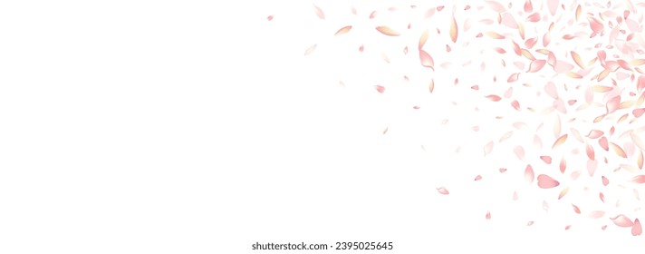 Color Rose Petal Vector Panoramic Background. Purple Romantic Sakura Petal Illustration. Apple Petal Fly Pattern. Floral Flower Petal Product.