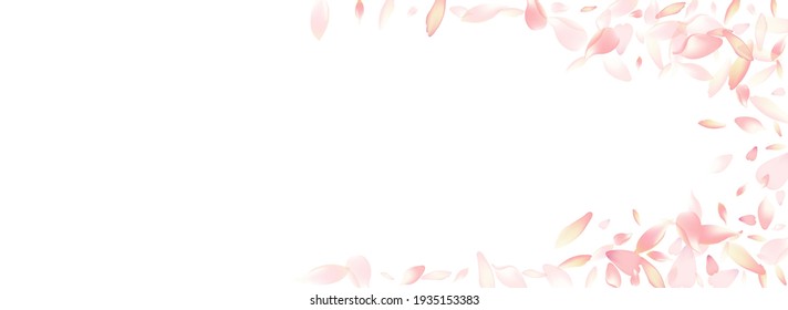 Color Rose Petal Vector White Background. Pastel Romantic Apple Petal Card. Cherry Petal Fall Illustration. Modern Peach Petal Product.