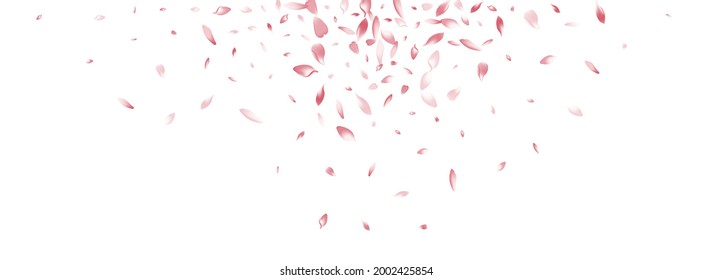 Color Rose Petal Vector White Background. Purple Flying Flower Petal Congratulation. Peach Petal Romantic Frame. Free Lotus Petal Card.