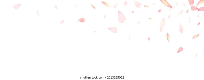 Color Rose Petal Vector White Background. Pastel Free Apple Petal Banner. Cherry Petal Soft Illustration. Valentine Sakura Petal Product.