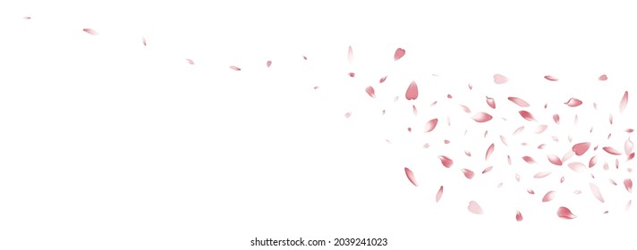 Color Rose Petal Vector White Background. White 3d Sakura Petal Texture. Peach Petal Soft Card. Invitation Apple Petal Frame.