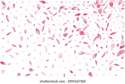 Color Rose Petal Vector White Background. White Japanese Cherry Petal Banner. Sakura Petal Invitation Congratulation. Blossom Peach Petal Backdrop.