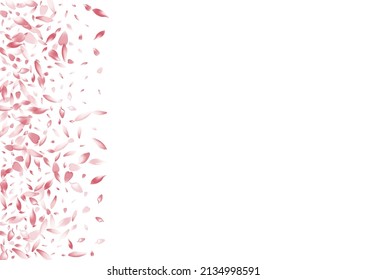 Color Rose Petal Vector fondo blanco. Diseño Petal de flores de piso rosa. Tarjeta de caída de Lotus Petal. Textura japonesa de cerezo de Petal.