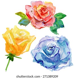 color roses collection, vector illustration.