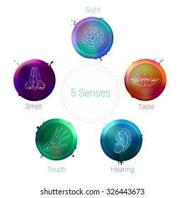 Color Rounded Shapes Five Senses: Hand Lips Eye Ear Nose Icons Polygonal set