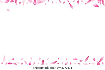 Color Sakura Petal Vector White Background. White Free Peach Petal Congratulation. Lotus Petal Beauty Texture. Dream Cherry Petal Backdrop.