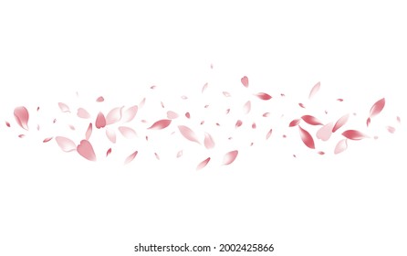 Color Sakura Petal Vector White Background. Transparent Wallpaper Apple Petal Product. Peach Petal 3d Congratulation. Aroma Lotus Petal Cover.