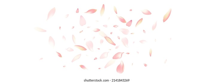 Farbiger Sakura-Petal-Vektorweißer Hintergrund. Pink Summer Peach Petal Illustration. Lotus Petal Spa Hintergrund. Realistisches Blumenmuster aus dem Petal.