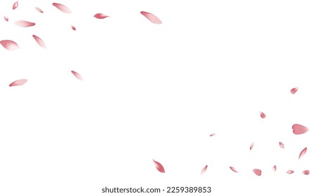 Color Sakura Petal Vector White Background. White Dream Peach Petal Product. Apple Petal Modern Frame. Bright Lotus Petal Congratulation.
