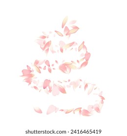 Color Sakura Petal Vector White Background. White Blossom Apple Petal Poster. Lotus Petal Dream Pattern. Invitation Flower Petal Backdrop.